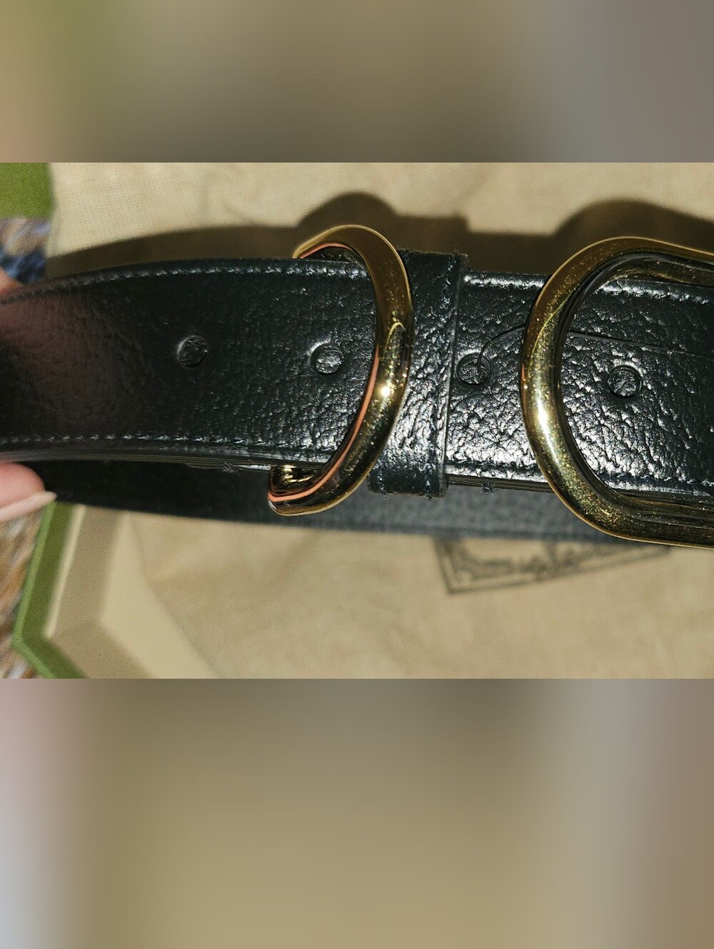 Gucci Dog Collar Authentic